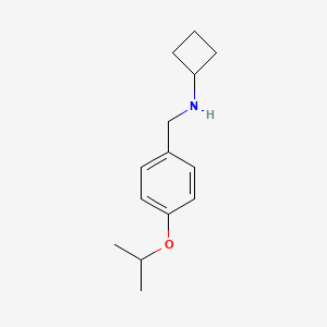 molecular formula C14H21NO B1399601 N-{[4-(propan-2-yloxy)phenyl]methyl}cyclobutanamine CAS No. 1248404-37-6