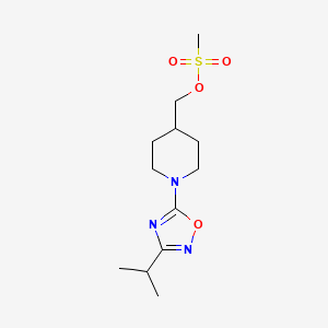 molecular formula C12H21N3O4S B1399757 (1-(3-Isopropyl-1,2,4-oxadiazol-5-yl)piperidin-4-yl)methyl methanesulfonate CAS No. 1032825-19-6