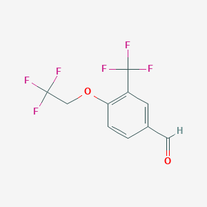 molecular formula C10H6F6O2 B1399775 4-(2,2,2-Trifluoroethoxy)-3-trifluoromethylbenzaldehyde CAS No. 1158254-48-8