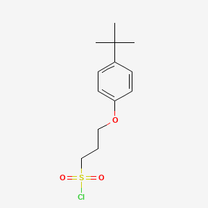 molecular formula C13H19ClO3S B1399906 3-(4-Tert-butylphenoxy)propane-1-sulfonyl chloride CAS No. 1018288-96-4