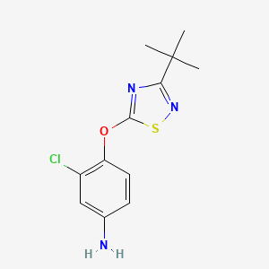 4-[(3-Tert-butyl-1,2,4-thiadiazol-5-yl)oxy]-3-chloroaniline