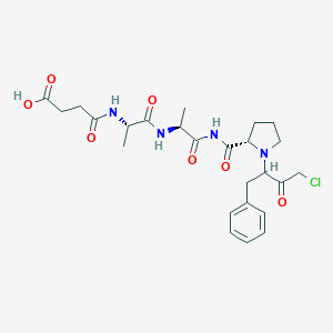 molecular formula C25H33ClN4O7 B140018 Succinyl-alanylalanyl-prolyl-phenylalanine chloromethylketone CAS No. 156616-24-9