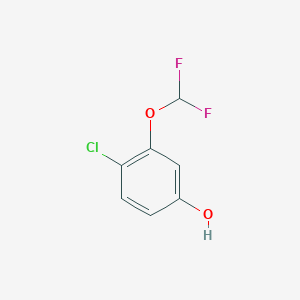 molecular formula C7H5ClF2O2 B1400303 4-Chloro-3-(difluoromethoxy)phenol CAS No. 1261440-11-2