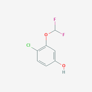 molecular formula C7H5ClF2O2 B1400303 4-Chloro-3-difluoromethoxyphenol CAS No. 1261440-11-2