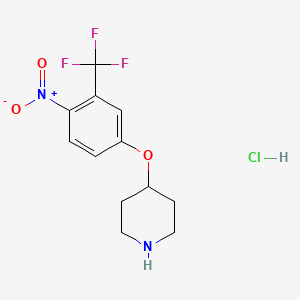 molecular formula C12H14ClF3N2O3 B1400365 4-(4-Nitro-3-trifluoromethyl-phenoxy)-piperidine hydrochloride CAS No. 1247029-38-4