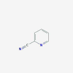 molecular formula C6H4N2 B140075 2-氰基吡啶 CAS No. 100-70-9