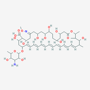 molecular formula C48H76N2O17 B140088 Amphotericin B O-methyloxime CAS No. 132202-02-9