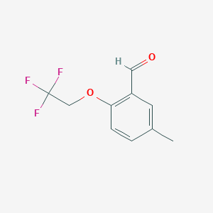 molecular formula C10H9F3O2 B1401113 5-Methyl-2-(2,2,2-trifluoro-ethoxy)-benzaldehyde CAS No. 1191284-13-5