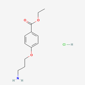 molecular formula C12H18ClNO3 B1401238 Ethyl 4-(3-aminopropoxy)benzoate;hydrochloride CAS No. 100840-70-8