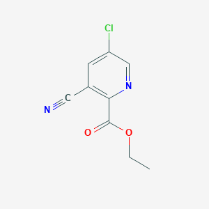 molecular formula C9H7ClN2O2 B1401306 Ethyl 5-chloro-3-cyanopyridine-2-carboxylate CAS No. 1312118-05-0
