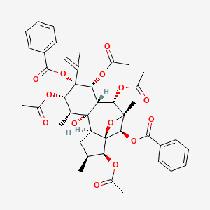 molecular formula C42H48O14 B14017486 Trigochinin B 