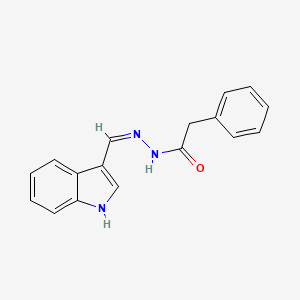 molecular formula C17H15N3O B14017609 N-[(Z)-1H-indol-3-ylmethylideneamino]-2-phenylacetamide 