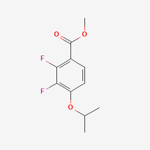 molecular formula C11H12F2O3 B14019903 Methyl 2,3-difluoro-4-isopropoxybenzoate 
