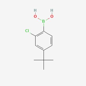 molecular formula C10H14BClO2 B14020511 (4-(t-Butyl)-2-chlorophenyl)boronic acid 