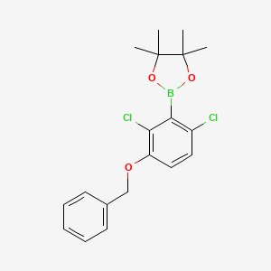molecular formula C19H21BCl2O3 B14021462 2-(3-(Benzyloxy)-2,6-dichlorophenyl)-4,4,5,5-tetramethyl-1,3,2-dioxaborolane 