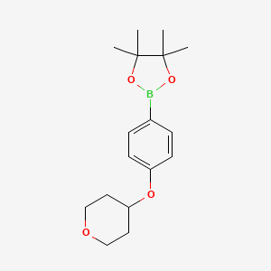 molecular formula C17H25BO4 B1402307 4,4,5,5-Tetramethyl-2-[4-(oxan-4-yloxy)phenyl]-1,3,2-dioxaborolane CAS No. 1416157-80-6
