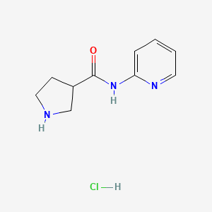 molecular formula C10H14ClN3O B1402485 N-(pyridin-2-yl)pyrrolidine-3-carboxamide hydrochloride CAS No. 1229625-19-7