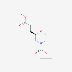 molecular formula C14H25NO5 B14026633 Tert-butyl (R)-2-(3-ethoxy-3-oxopropyl)morpholine-4-carboxylate 