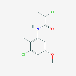 molecular formula C11H13Cl2NO2 B1402764 2-Chloro-N-(3-chloro-5-methoxy-2-methylphenyl)propanamide CAS No. 1365962-98-6