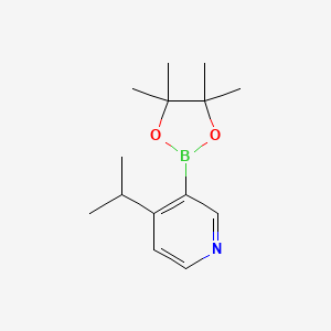 molecular formula C14H22BNO2 B14029059 4-Isopropyl-3-(4,4,5,5-tetramethyl-1,3,2-dioxaborolan-2-yl)pyridine 