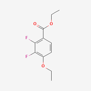 molecular formula C11H12F2O3 B14029067 Ethyl 4-ethoxy-2,3-difluorobenzoate 