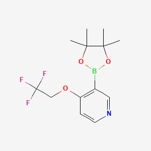 molecular formula C13H17BF3NO3 B1402935 3-(4,4,5,5-Tetramethyl-1,3,2-dioxaborolan-2-yl)-4-(2,2,2-trifluoroethoxy)pyridine CAS No. 1416724-47-4