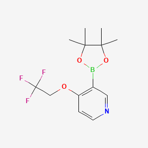 3-(4,4,5,5-Tetramethyl-1,3,2-dioxaborolan-2-yl)-4-(2,2,2-trifluoroethoxy)pyridine