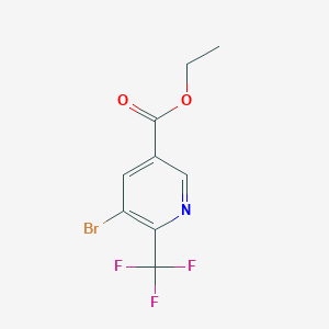 molecular formula C9H7BrF3NO2 B14029823 Ethyl 5-bromo-6-(trifluoromethyl)nicotinate 