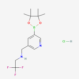 molecular formula C14H20BF3N2O2 B1402999 2,2,2-trifluoro-N-((5-(4,4,5,5-tetramethyl-1,3,2-dioxaborolan-2-yl)pyridin-3-yl)methyl)ethanamine hydrochloride CAS No. 919347-59-4