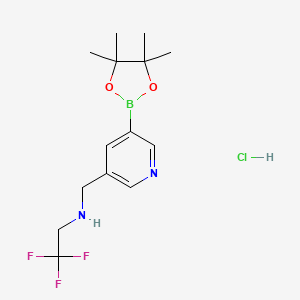 molecular formula C14H21BClF3N2O2 B1402999 2,2,2-trifluoro-N-((5-(4,4,5,5-tetramethyl-1,3,2-dioxaborolan-2-yl)pyridin-3-yl)methyl)ethanamine hydrochloride CAS No. 919347-59-4