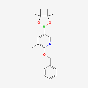molecular formula C19H24BNO3 B1403005 2-(苄氧基)-3-甲基-5-(4,4,5,5-四甲基-1,3,2-二氧杂硼环-2-基)吡啶 CAS No. 1375302-97-8