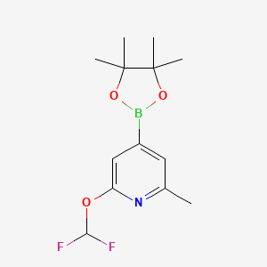 molecular formula C13H18BF2NO3 B1403006 2-(Difluoromethoxy)-6-methyl-4-(4,4,5,5-tetramethyl-1,3,2-dioxaborolan-2-yl)pyridine CAS No. 1402238-41-8