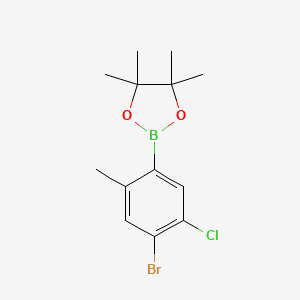 molecular formula C13H17BBrClO2 B14030471 2-(4-Bromo-5-chloro-2-methylphenyl)-4,4,5,5-tetramethyl-1,3,2-dioxaborolane 