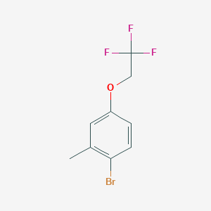molecular formula C9H8BrF3O B1403107 1-Bromo-2-methyl-4-(2,2,2-trifluoroethoxy)benzene CAS No. 1545633-35-9