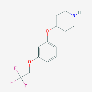 molecular formula C13H16F3NO2 B1403112 4-[3-(2,2,2-Trifluoroethoxy)-phenoxy]-piperidine CAS No. 1304788-13-3