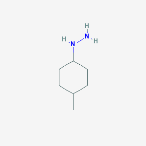 molecular formula C7H16N2 B140313 (4-Methylcyclohexyl)hydrazine CAS No. 158438-47-2