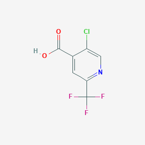molecular formula C7H3ClF3NO2 B1403157 5-Chloro-2-(trifluoromethyl)isonicotinic acid CAS No. 823222-01-1