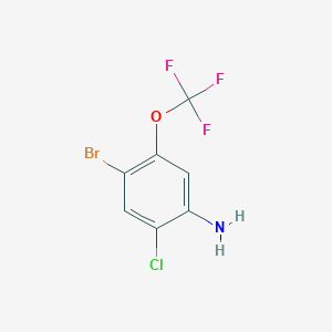 molecular formula C7H4BrClF3NO B1403231 4-Bromo-2-chloro-5-(trifluoromethoxy)aniline CAS No. 115844-00-3