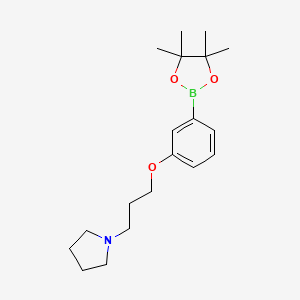 1-(3-(3-(4,4,5,5-Tetramethyl-1,3,2-dioxaborolan-2-yl)phenoxy)propyl)pyrrolidine