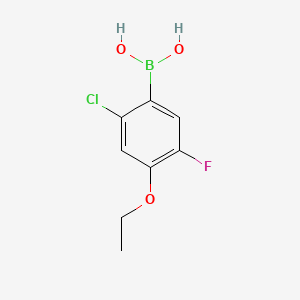molecular formula C8H9BClFO3 B14032984 (2-Chloro-4-ethoxy-5-fluorophenyl)boronic acid 
