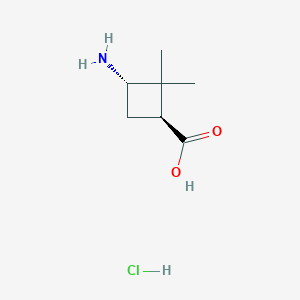 molecular formula C7H14ClNO2 B1403537 trans-3-Amino-2,2-dimethylcyclobutanecarboxylic acid hydrochloride CAS No. 1392803-36-9