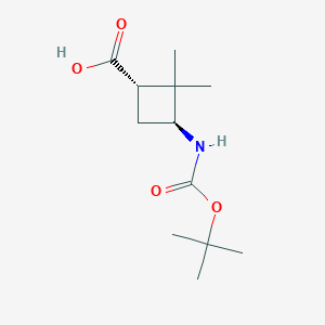 molecular formula C12H21NO4 B1403568 trans-3-(Boc-amino)-2,2-dimethylcyclobutanecarboxylic acid CAS No. 1392803-26-7