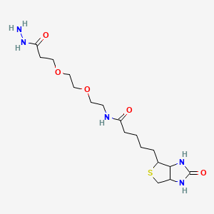 molecular formula C17H31N5O5S B14036265 N-[2-[2-(3-hydrazinyl-3-oxopropoxy)ethoxy]ethyl]-5-(2-oxo-1,3,3a,4,6,6a-hexahydrothieno[3,4-d]imidazol-4-yl)pentanamide 