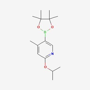 molecular formula C15H24BNO3 B1403628 2-ISOPROPOXY-4-METHYL-5-(4,4,5,5-TETRAMETHYL-1,3,2-DIOXABOROLAN-2-YL)PYRIDINE CAS No. 1451391-04-0