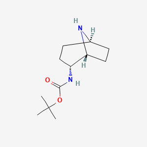 molecular formula C12H22N2O2 B1403673 endo-2-(Boc-amino)-8-azabicyclo[3.2.1]octane CAS No. 1408076-01-6