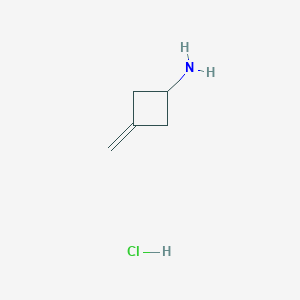 molecular formula C5H10ClN B1403707 3-Methylenecyclobutan-1-amine hydrochloride CAS No. 136137-55-8