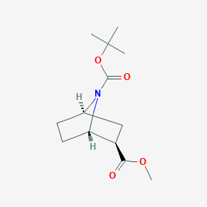 molecular formula C13H21NO4 B14037295 exo-7-(Boc) 2-Methyl-7-aza-bicyclo[2.2.1]heptane-2-carboxylate 