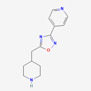 molecular formula C13H16N4O B1403881 4-[5-(哌啶-4-基甲基)-1,2,4-恶二唑-3-基]吡啶 CAS No. 1239722-79-2