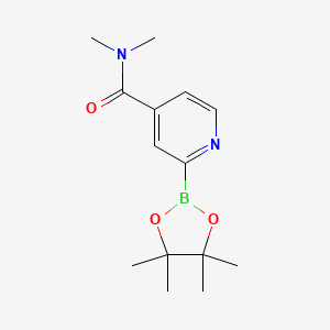 molecular formula C14H21BN2O3 B14040155 N,N-Dimethyl-2-(4,4,5,5-tetramethyl-1,3,2-dioxaborolan-2-YL)isonicotinamide 