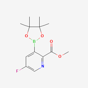 molecular formula C13H17BFNO4 B1404045 Methyl 5-fluoro-3-(4,4,5,5-tetramethyl-1,3,2-dioxaborolan-2-yl)picolinate CAS No. 2096998-70-6